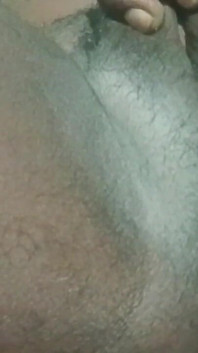 My Videos