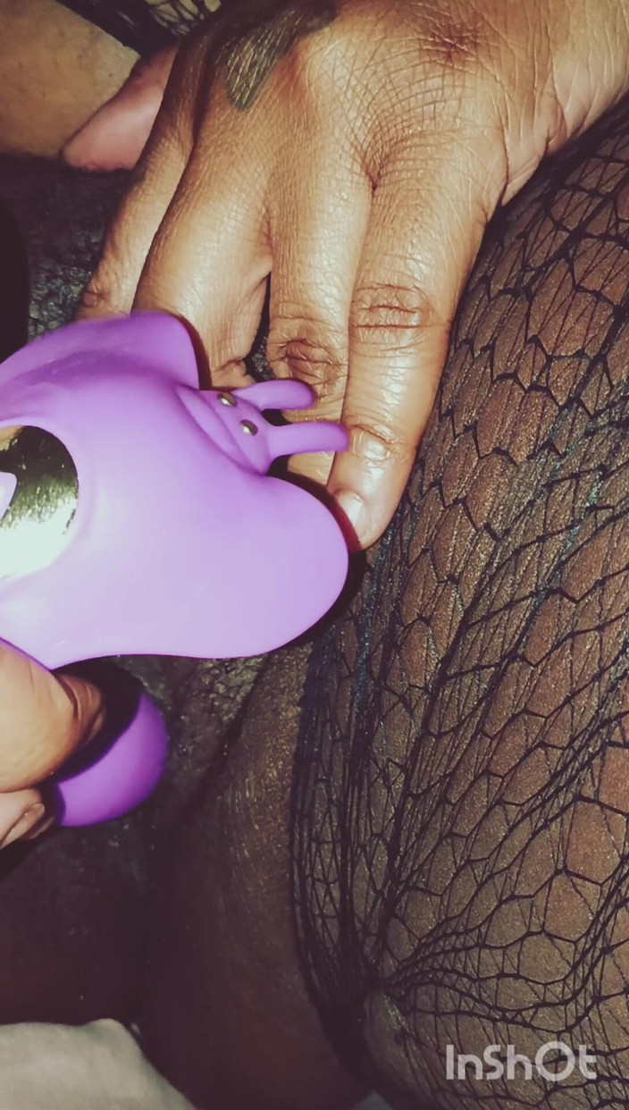 Lola Tha Pink Bunny: Lola và bông hồng tím!!