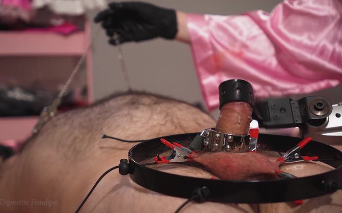 Domestic femdom: Harsh CBT Orgasm