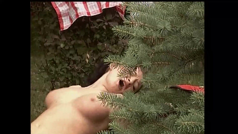 Muschi movie official: 와일드 세탁소