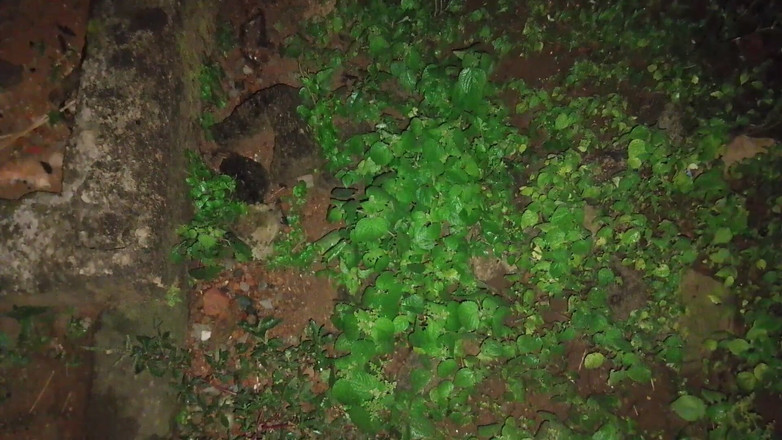 Masturbator emmy: 真夜中のオナニーほど良いものはありません