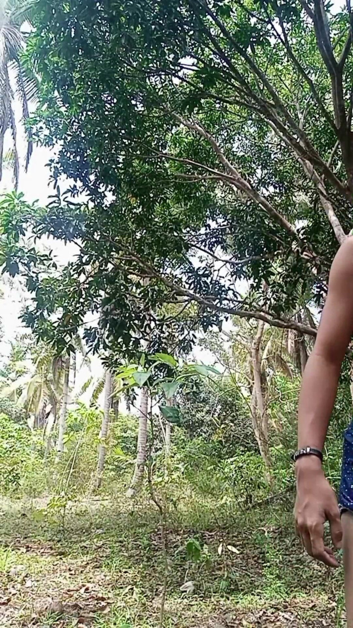 Jameson Official: Tajna przygoda Filipino Twink's Secret Jungle - Fleshlab Exclusive