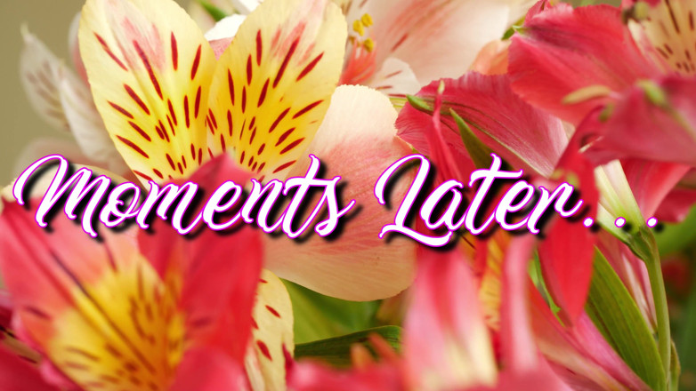 MomWantsToBreed: Stepmoms Mothers Day Creampie - S6:e7