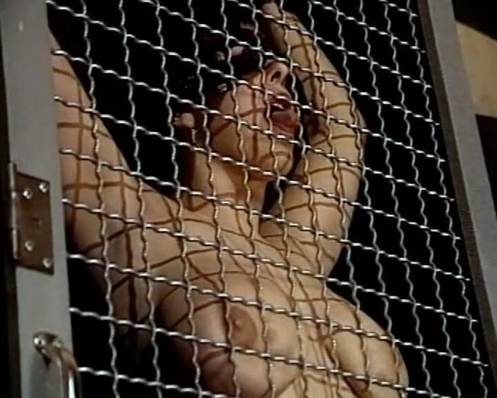 GERMAN PORN CLASSICS: Submissive Desire