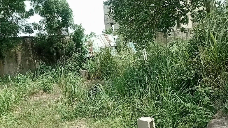 Creamyshuga: Trattamento della fidanzata