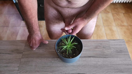 Cicci77: Cicci77 feeds her plants with pee and sperm to make...