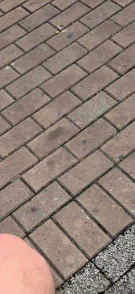 I'm Going to Kick Your Ass with My Size 45 Foot - 12½ Inches