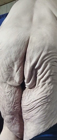 Whore Takes a Gulp of Your Cock but It's Not Over When He Bends Her Over
