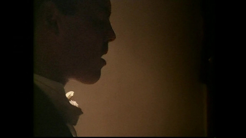 FM Video VOD: Een vrolijke weduwe #02