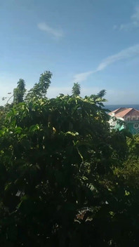 Flashing the Neighbors While Sunbathing