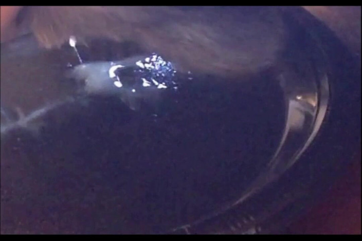 Random111zoig: Memoc 24