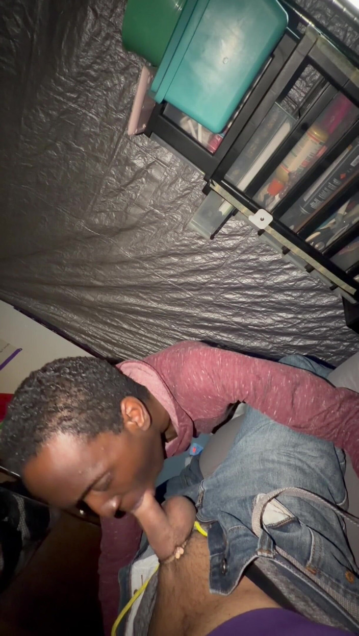 NB Topper: Black adventures 02