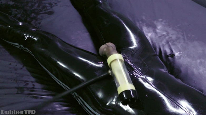 RubberTFD: Rubber extraction asylum