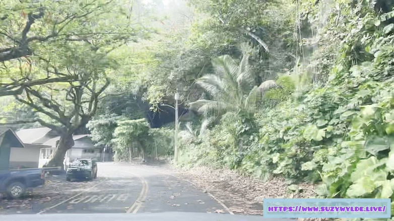 Suzy Wylde: Sfw 在毛伊岛怀莫库瀑布的 Suzy Wylde 到 hana 的 Sfw 公路旅行