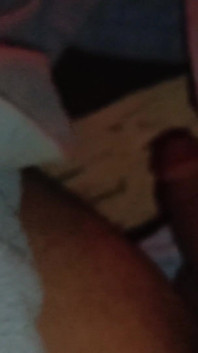 Desi Bull
