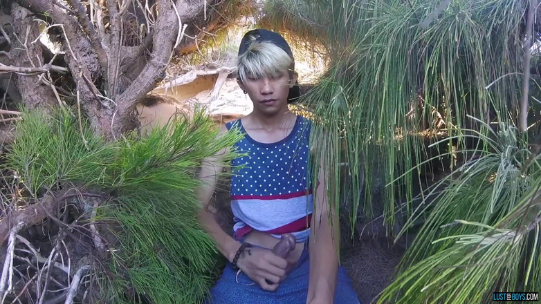 Lust for boys: Stijve strelen op het strand