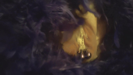 Cumbunnyslut: Kimmyiny nadýchané clitty