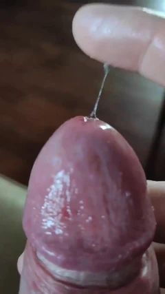 Kontol gemuk sebelum dicrot sperma