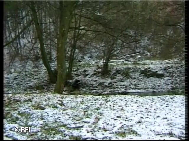 Amazing asses and pussies: xxx ics story DVD