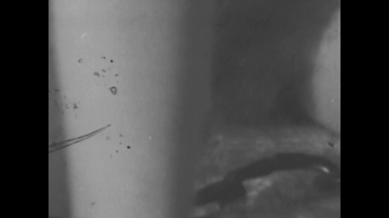 Vintage Usa: 官能的な女性たちの毛深い秘部