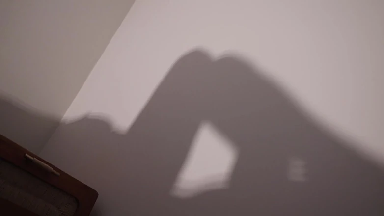Countess diamond: Worship My Shadow - My Pleasure, Your Denial