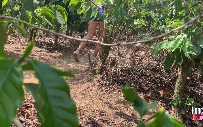 Koach Rock: Playing in the Coffee Plantation, It&amp;#039;s Not Harvest Time but...