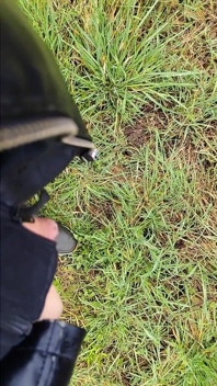 Chỉ cần một litte bit đi tiểu kiêm trộn thưởng thức