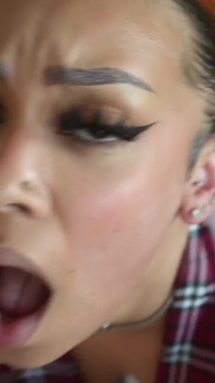 Schoolgirl the Stallion