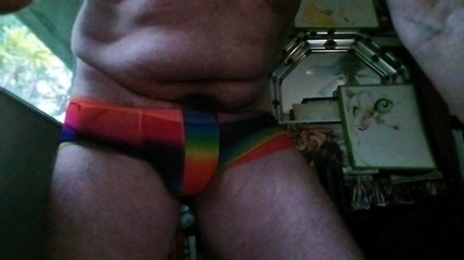 Hairyartist: Pridewear