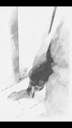 i7Bernard: Зроблено в Instagram I7bernard