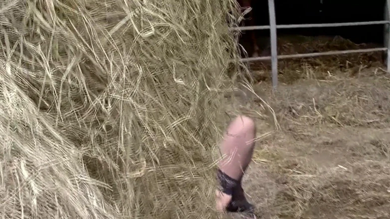 German Full Movies: Mess in the Pigsty Farmer Seeks Woman to Fuck