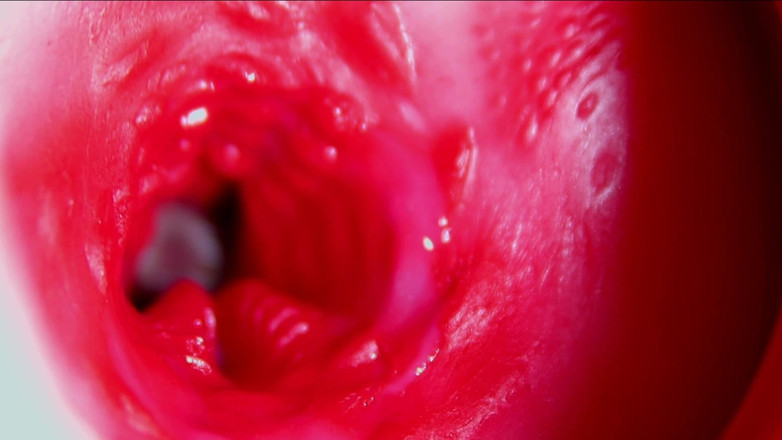 SEXY_GUYBEST: Jugoso hermoso coño aplastado dentro de Asmr en primer plano...