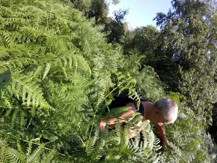 Andy: Bagian 6 walk 57