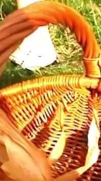 Büyük mısır koçanı açık havada genişleyen amcığını genişliyor