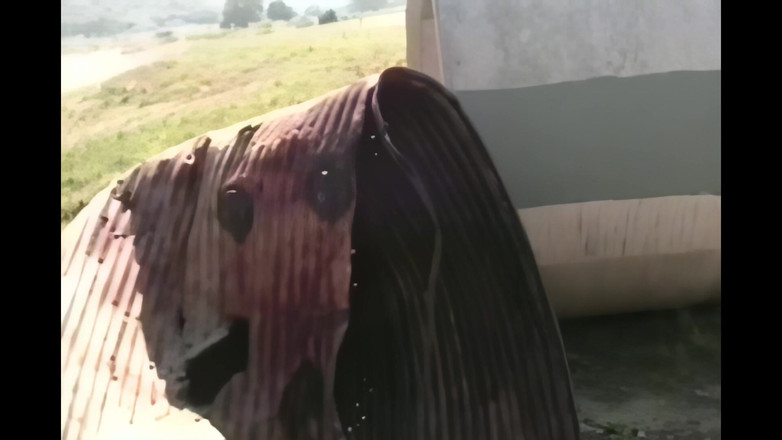 Adultwhisper: Curva perversă ia totul în perspectivă la persoana 1