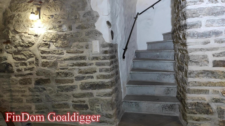 FinDom Goaldigger: Hamba di My Castle