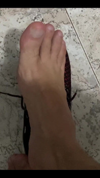 Pies Pies Pies