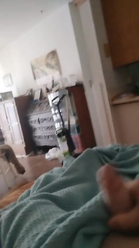 Ho dovuto solo scaricare questo carico stamattina