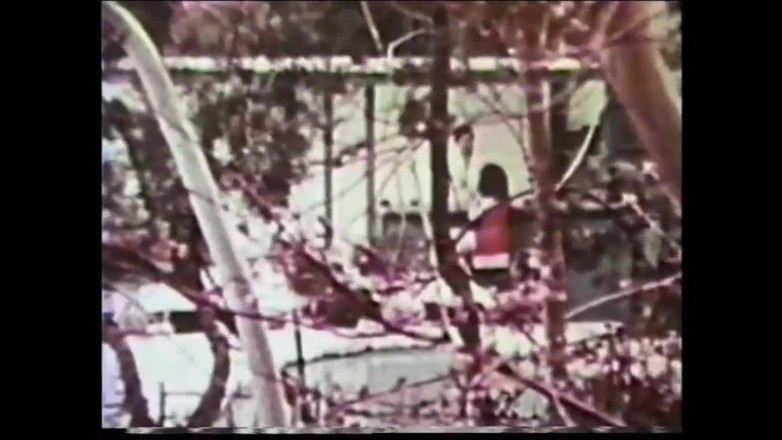 Vintage Megastore Full hd: John Holmes Kekasih Biadab