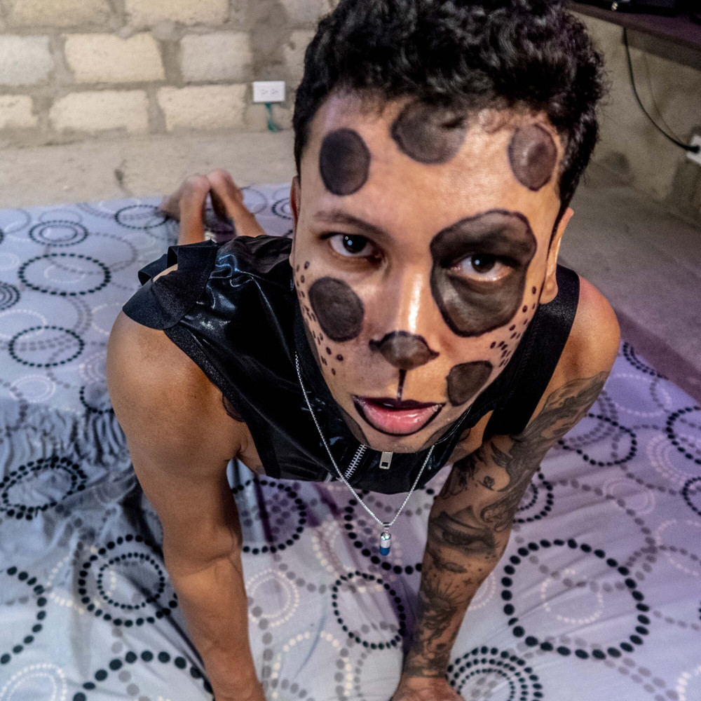 Faphouse