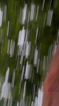 Teen Shows Tits and Asshole During a Storm in the Forest