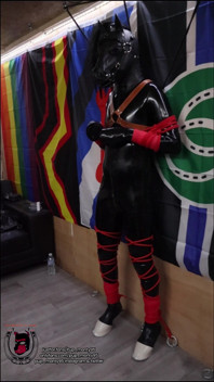 Rubber Pony Bound and Milked
