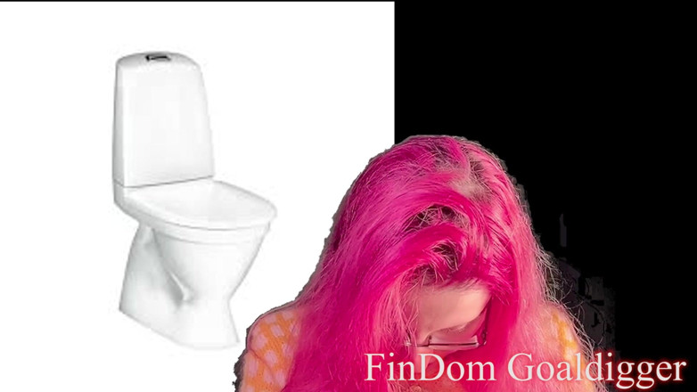 FinDom Goaldigger: Transformasi toilet emas