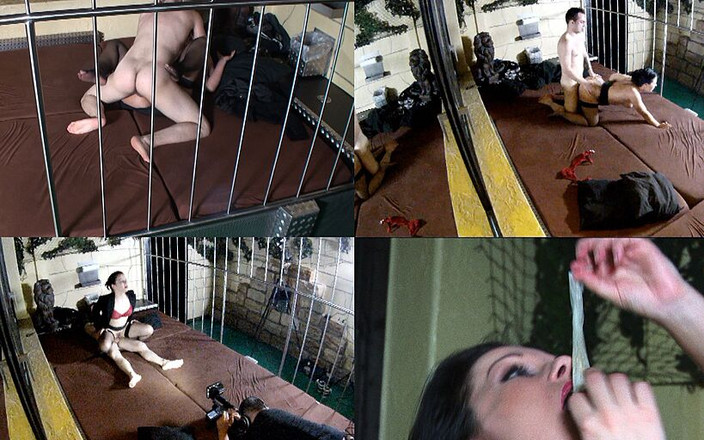 Lydia Privat: Tvorba pornomastera