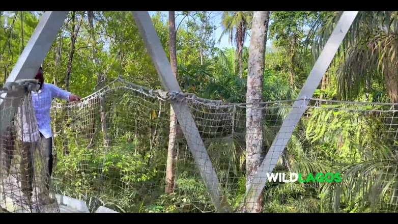 WildLagos: 丛林中的热辣快速性爱