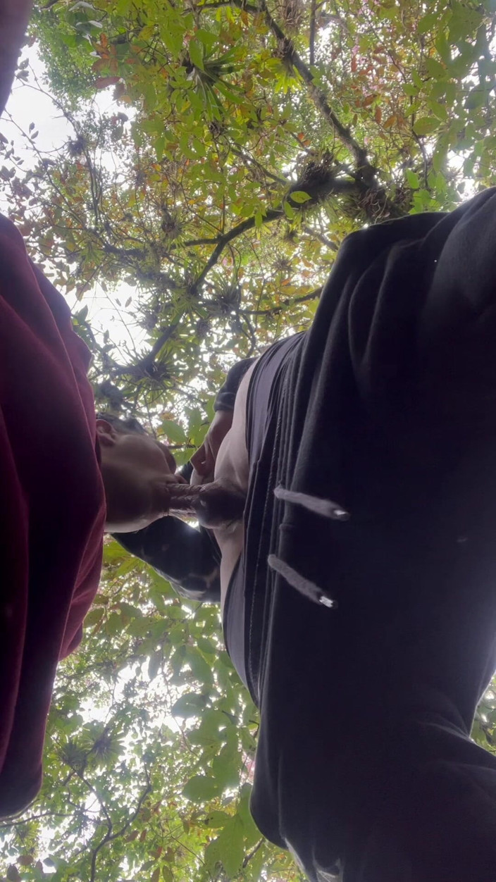 Ultra2017P: Chupando o pau do meu colega de classe no campus