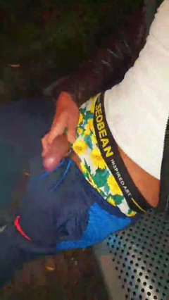 Slutboyben: Slutboyben Cam4 Brainfukked Outdoor Pig Iii Ekshibicjonista