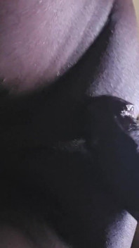 Didlo Made Me Cum No Hands