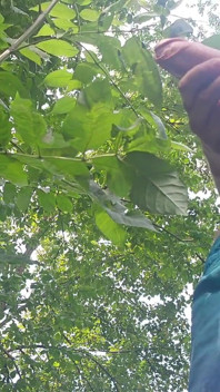 危険な屋外オナニーオフ - 森の中で捕まりそうになり、大量射精