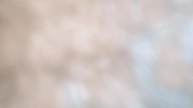 PARAMANANDA: 내 사랑은 널 좋아해